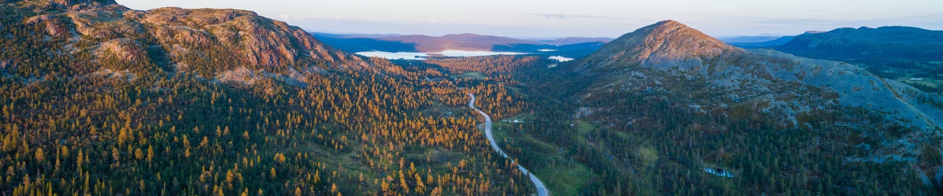 high angle aerial view of oad running through forest